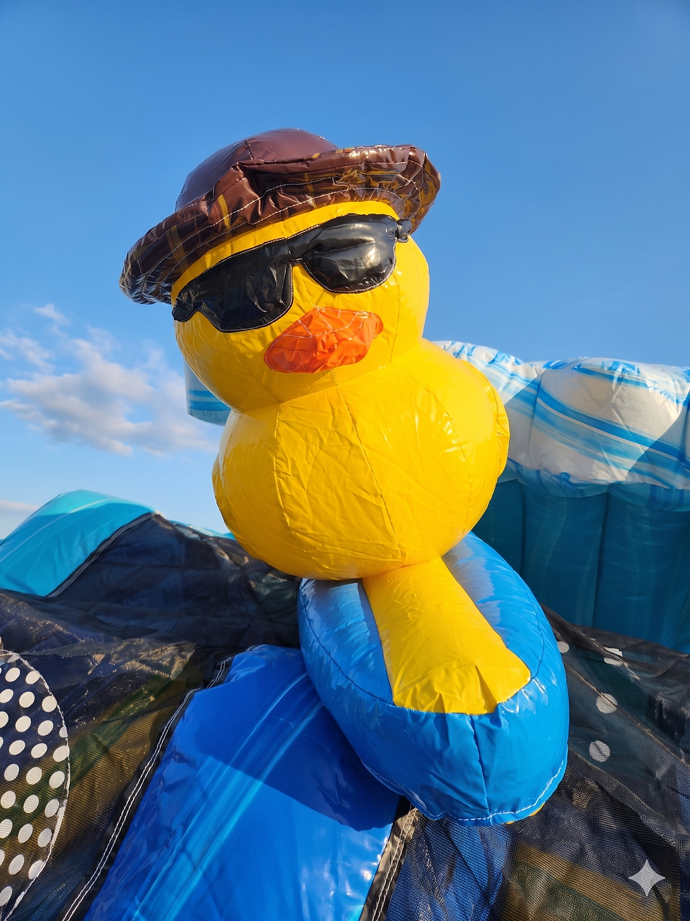 Thumbnail: 19' Ducky Slide