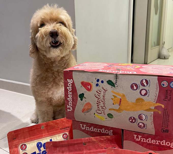 UNDERDOG.jpg