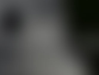 The Principle of the Path