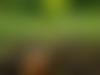 Have you ever considered that what seems like such a small thing over time becomes an incredible thing?