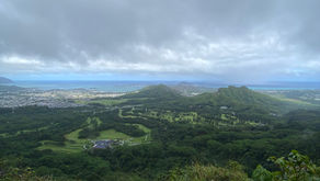 Nu'uanu Pali State Wayside Lookout & Ko'olau Summit Trail (Pali Puka)