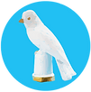 Karen Glinert Carlson white bird logo