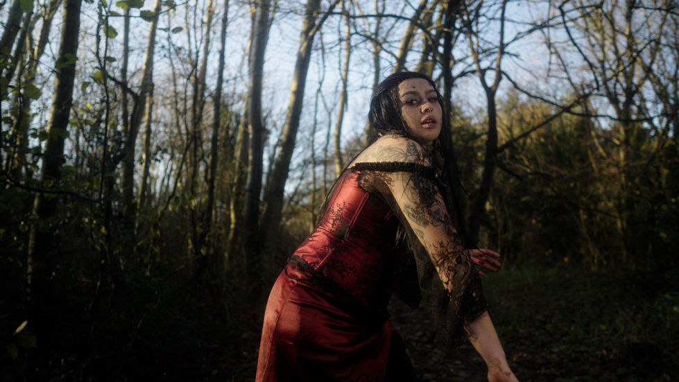 C2646.00_09_46_10.Still001