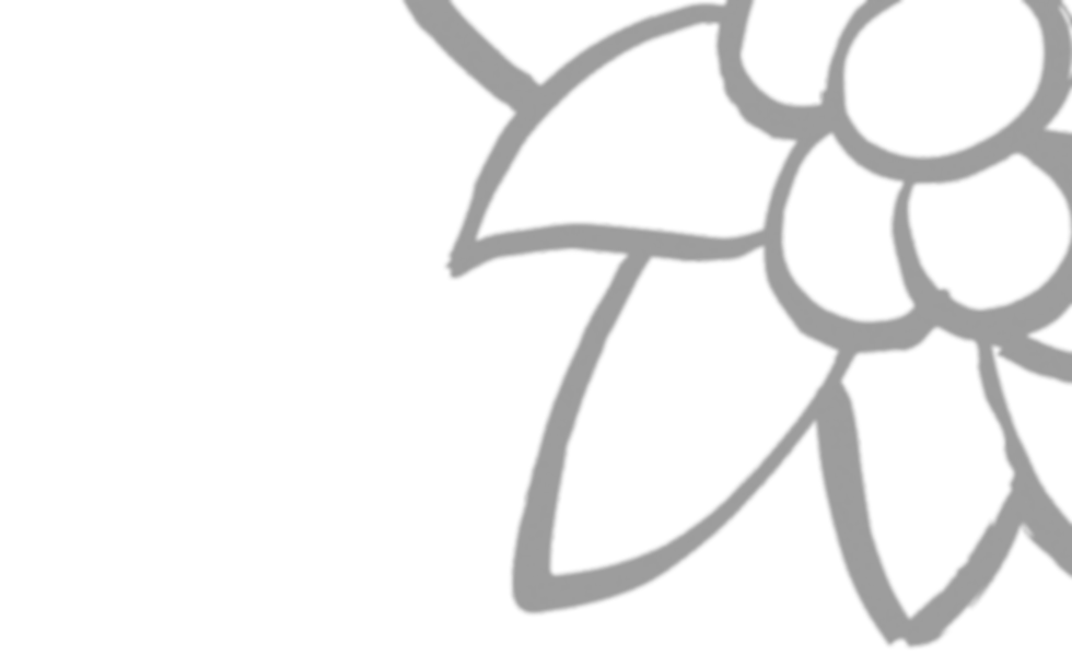 fond-fleur-gris.png