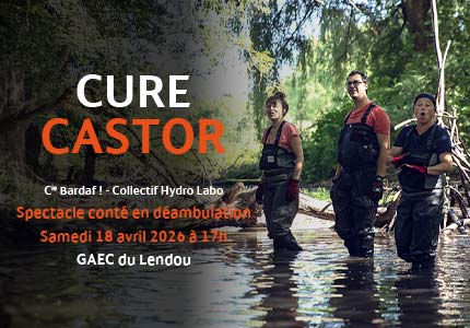 Cure-CAstor-2026.jpg