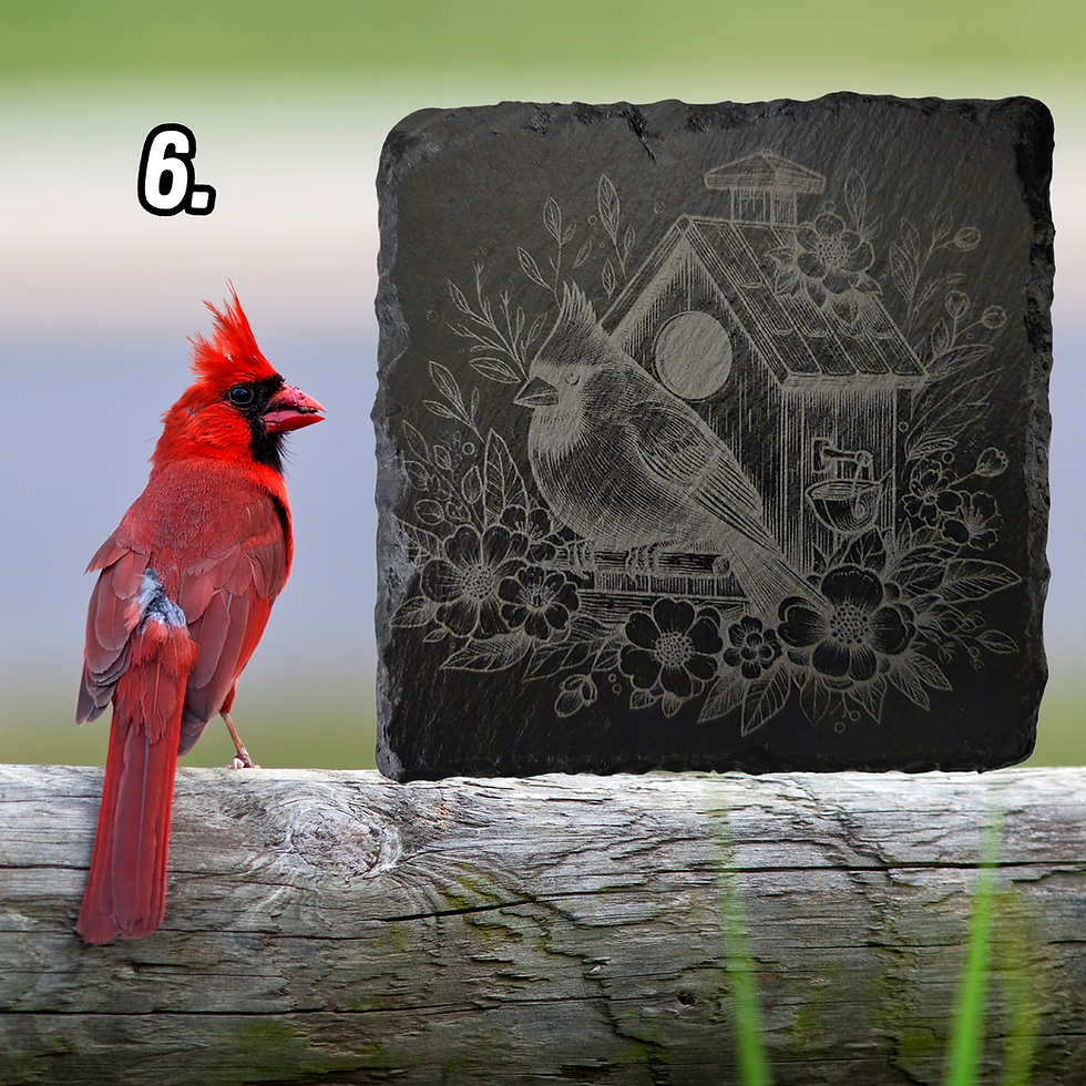 Thumbnail: Housewarming Gift, Cardinal Decor, Birdhouse Decor, Mothers Day Gift, Mix and Match