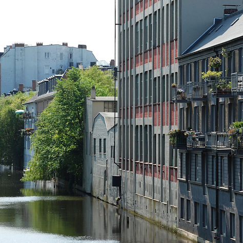 Hoheluft-West Hamburg: Urbanes Wohnen mit besonderem Charakter