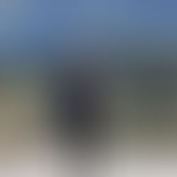 Wolforce – Unternehmensberatung, die Unternehmern das Wertvollste schenkt: Zeit & Freiheit.