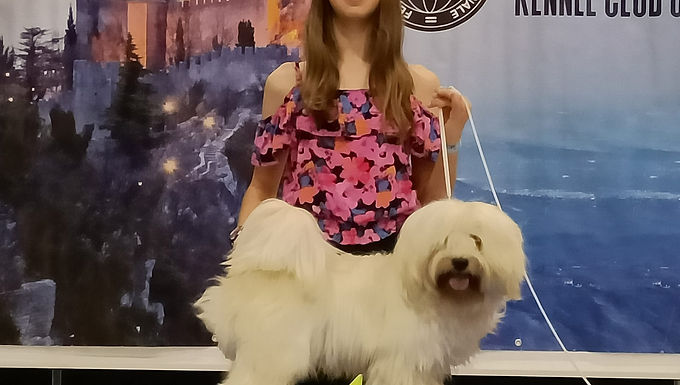 Christa's Jumpy Clown Dream Big