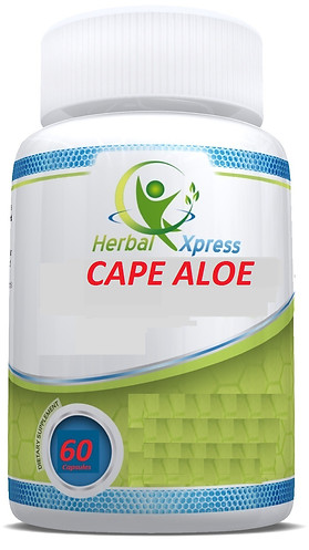 Cape Aloe