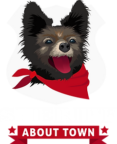 sheriff dog pound