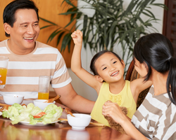 Website Lifestyle Selections (1)