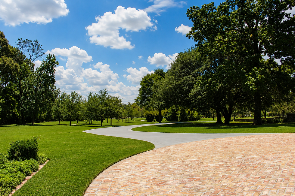 Professionally maintained green lawn and driveway