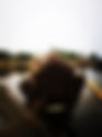 ZOOMING OUT