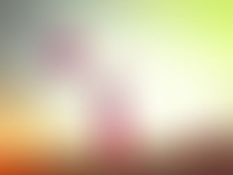 O fim de um ciclo: aprendizados e despedidas