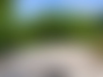 Two newly poured concrete building foundations sit on a gravel-covered lot surrounded by dense green trees under a bright blue sky. Utility pipes extend from the slabs, and a construction sign is visible near the edge of the site.