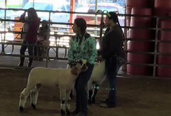 944080_10208062349893358_8251677094298880163_n