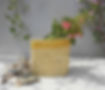 Moonj Square Planter