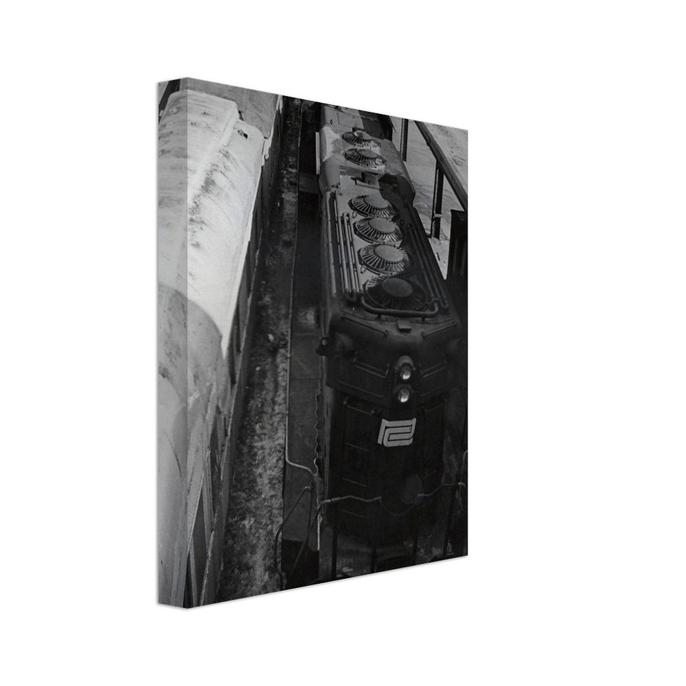 Waiting Trains (Canvas)