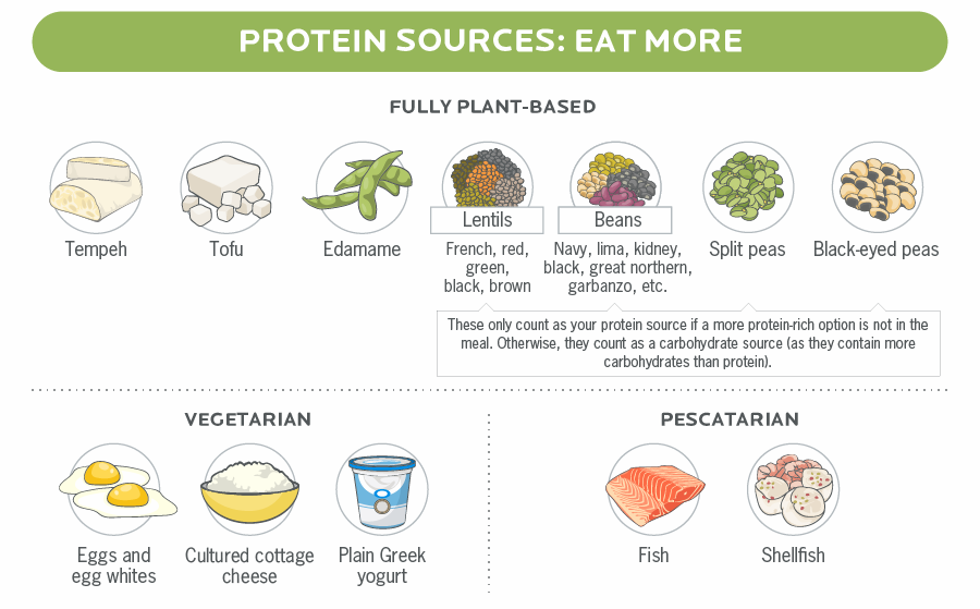 What about Protein?