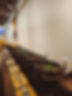 20241005_114750.jpg
