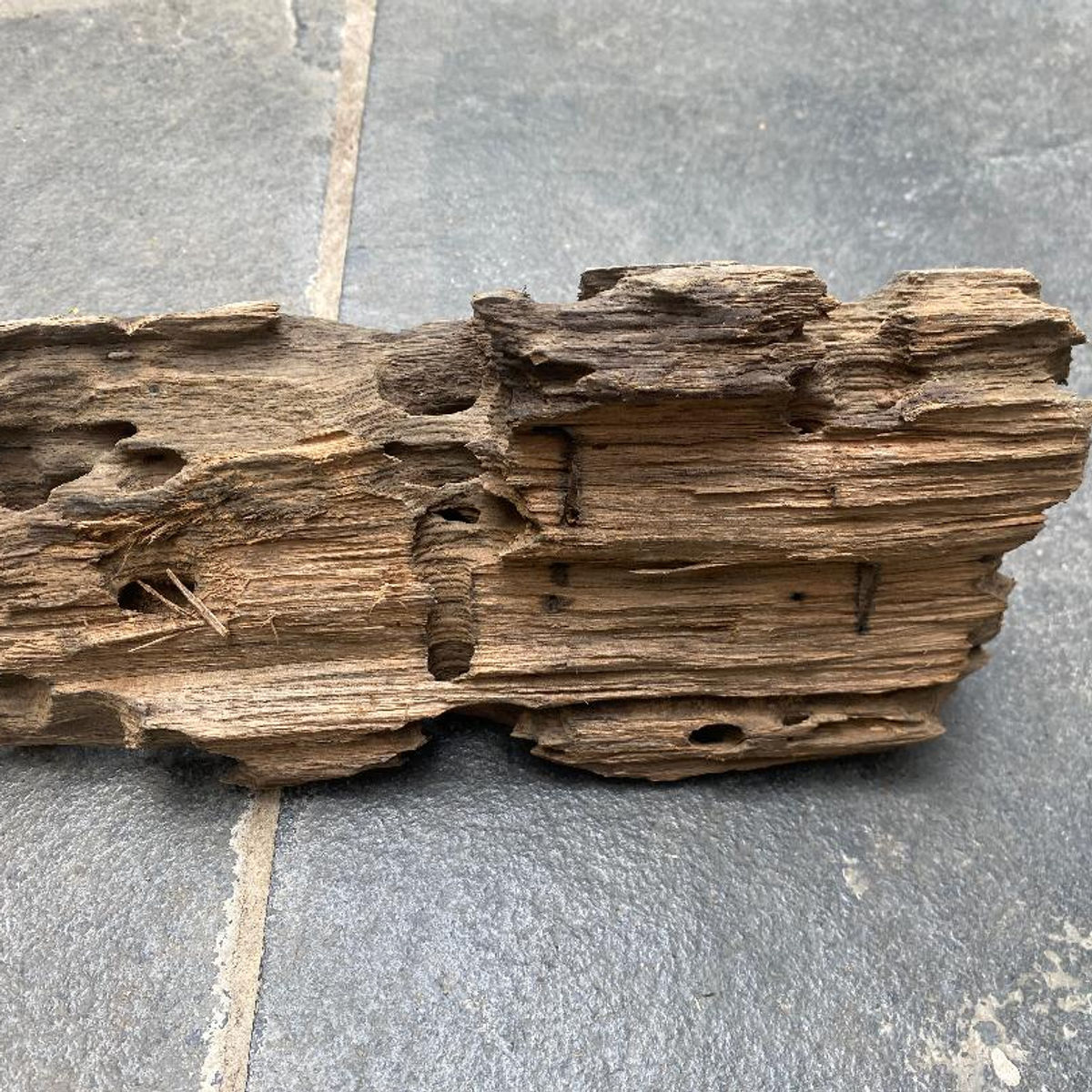 Honeycomb Wood