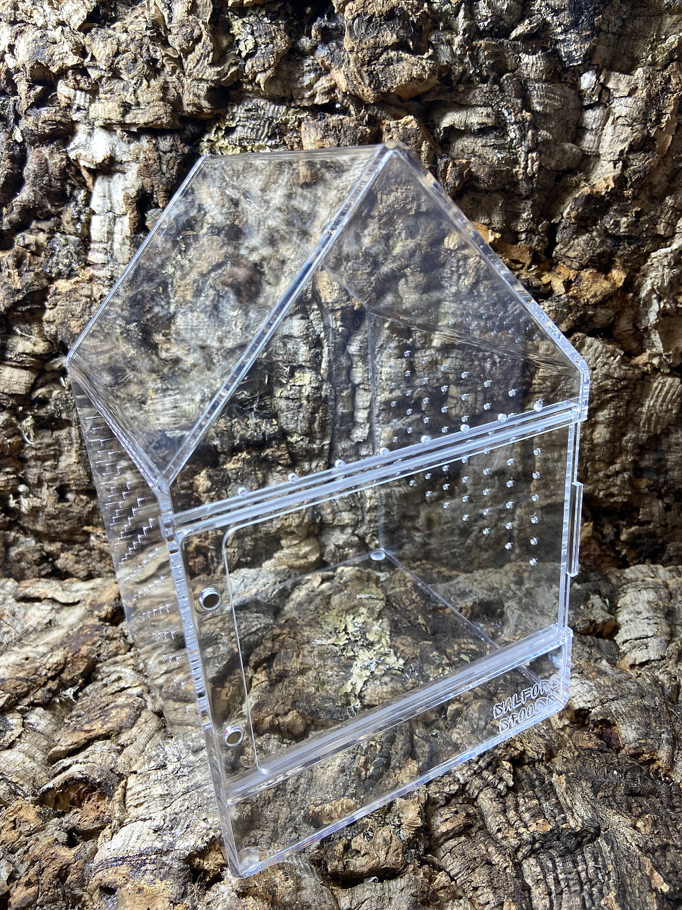 Thumbnail: Acrylic House Large  6" x 6" x 8"