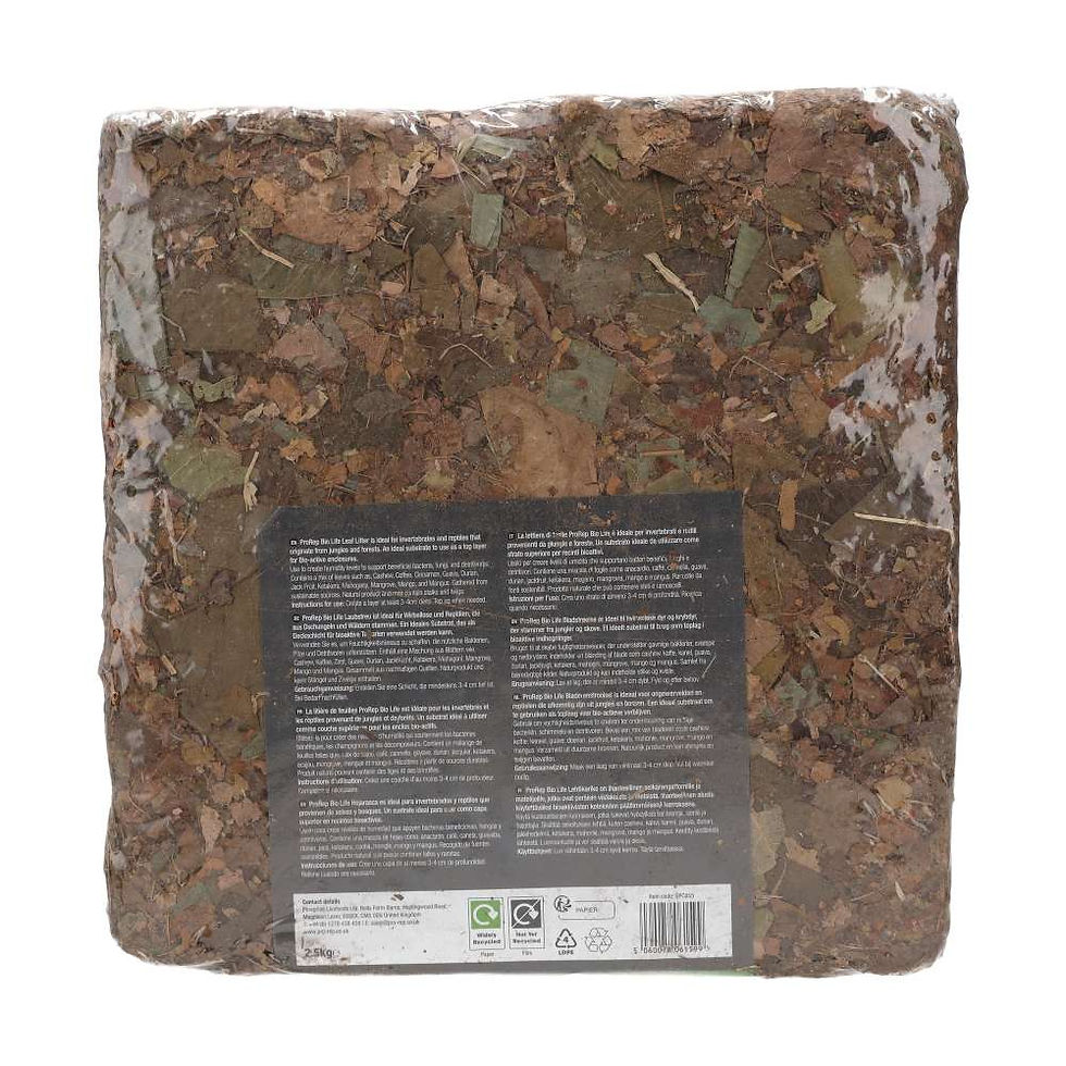 Thumbnail: PR Leaf Litter Block