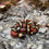 Thumbnail: Apricot Pueblan Milk Snake