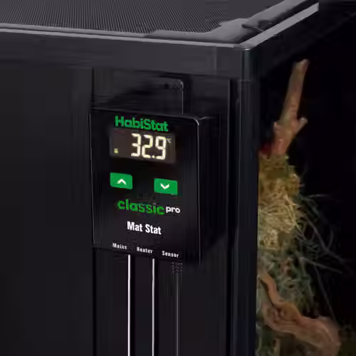 Thumbnail: HabiStat Classic Pro Mat Thermostat