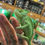 Thumbnail: Female Yemen Chameleon