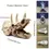 Thumbnail: Resin Dinosaur Skull