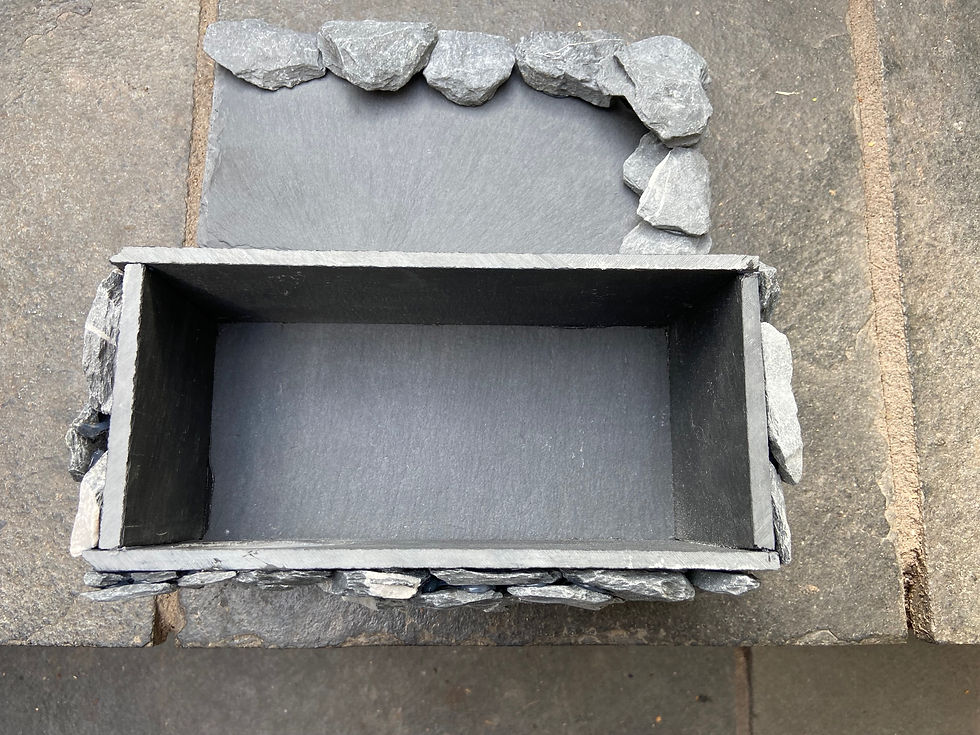 Thumbnail: Wet Box Medium