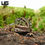 Thumbnail: Summer Special on Camo Horned Frog