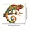 Thumbnail: Chameleon Metal Wall Art