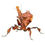 Thumbnail: Ghost Mantis Free with Set up