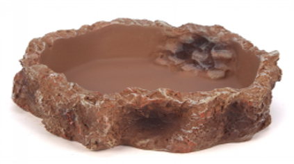 Thumbnail: Rock Dish