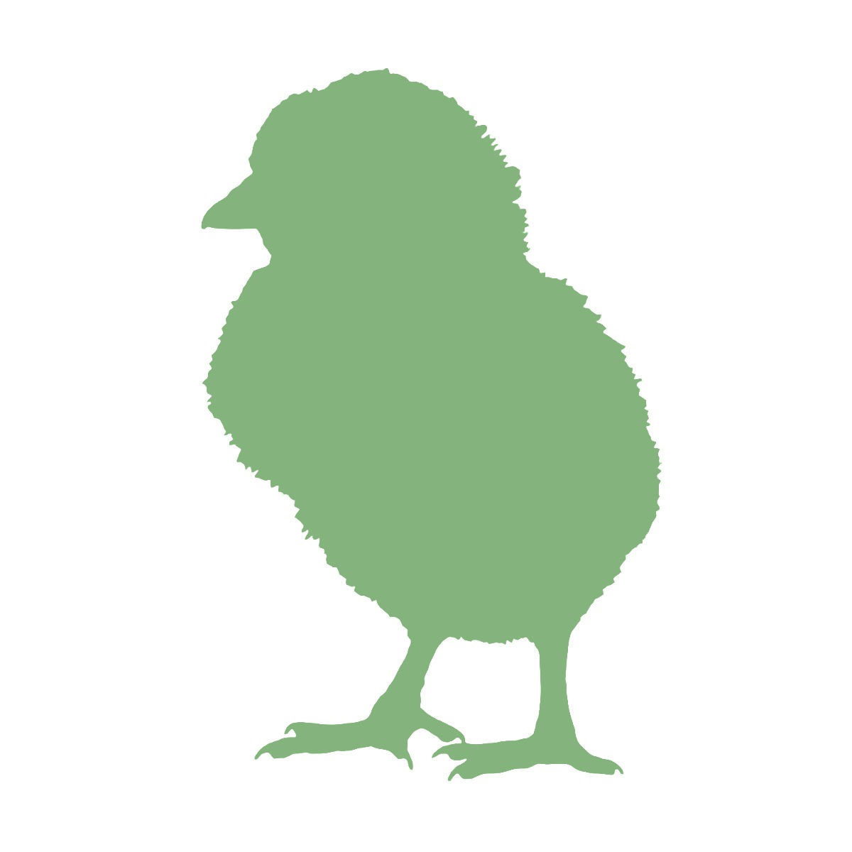 Day Old Frozen Chicks 50pk