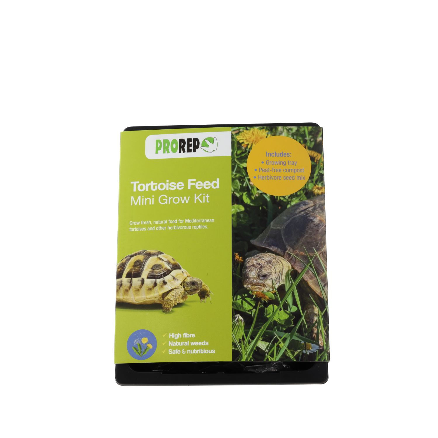 Tortoise Feed Mini Kit