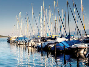 Visita al puerto pesquero y al mercado de abastos de Marbella