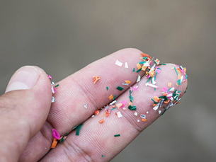 Il Mare Salentino - Le Microplastiche: Un'Emergenza Ambientale (con il Dott. Antonio Trani)