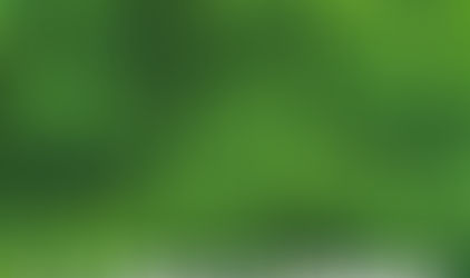 La Belle Verte