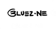 bz logo.png