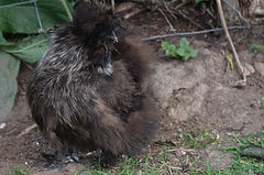 DSC_1281_edited.jpg