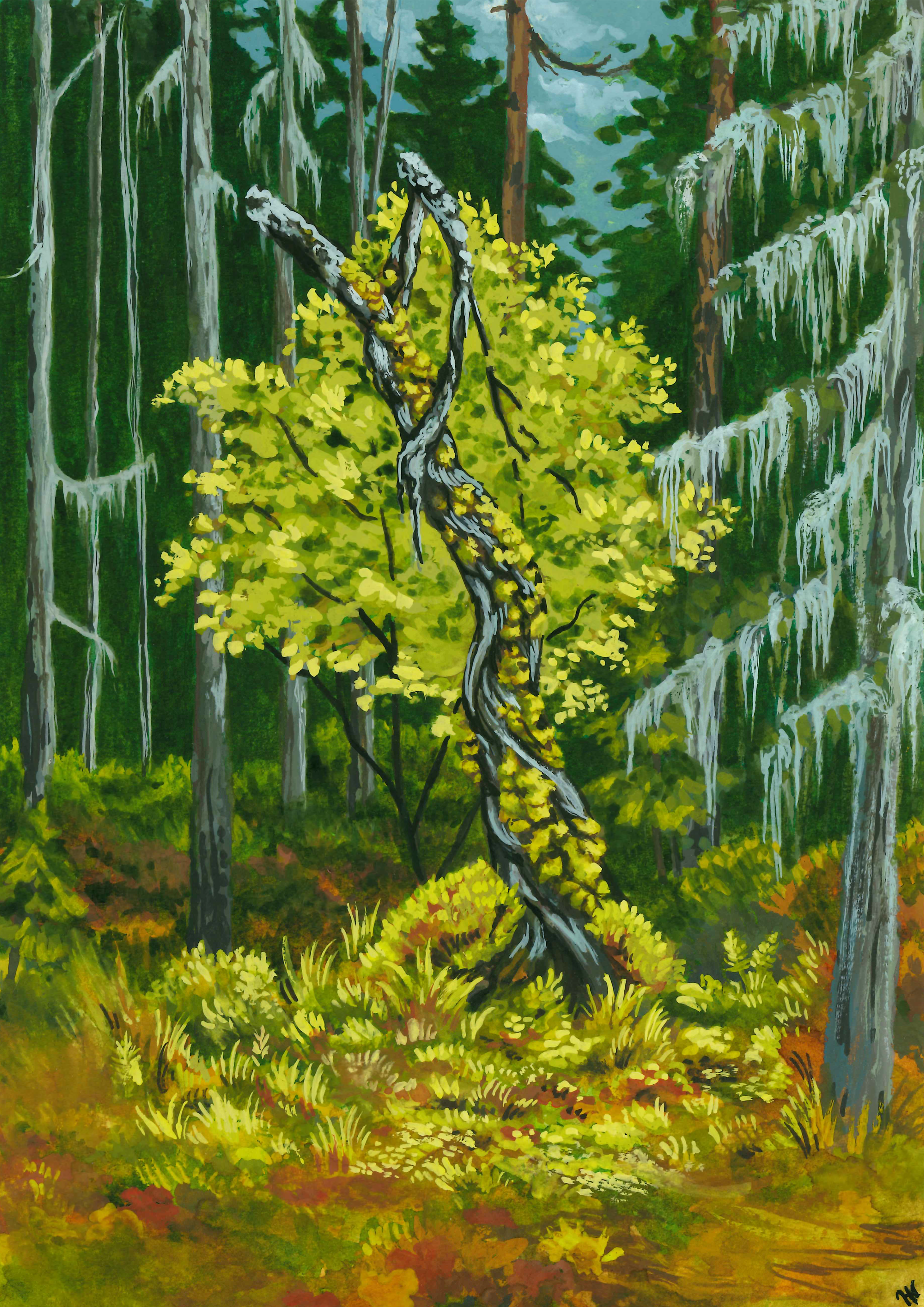 Hamra Nationalpark - Poster