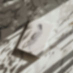 Album 3.jpg