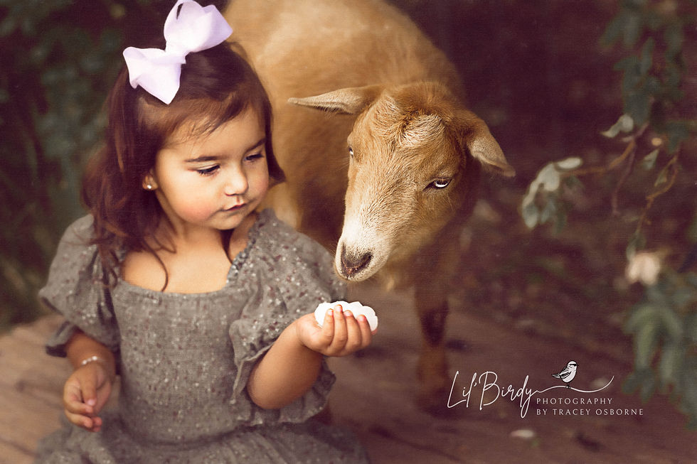 Children's Photography