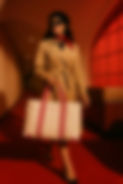 tote copy_edited.jpg