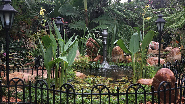 Estanque de jardín, plantas acuáticas, paisajismo, arquitectura del paisaje