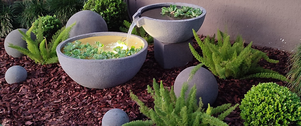 Fuente de agua, paisajismo moderno, plantas acuáticas, esferas.
